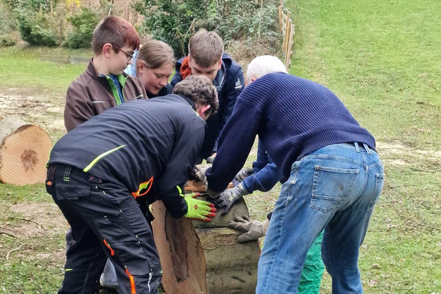 JRK-Mitglieder rollen gemeinsam einen großen Baumstamm bei einem Arbeitswochenende.